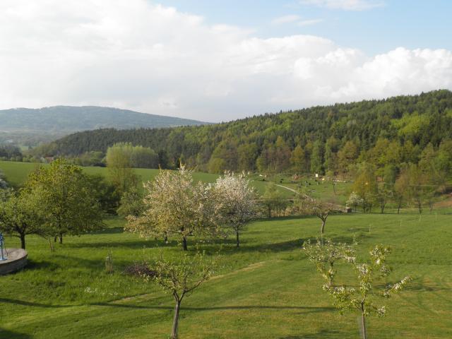 Koráz od Svobodných Hor